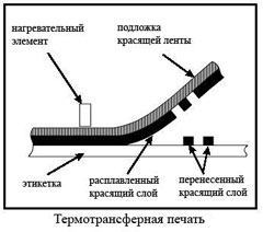 Производство термоэтикеток